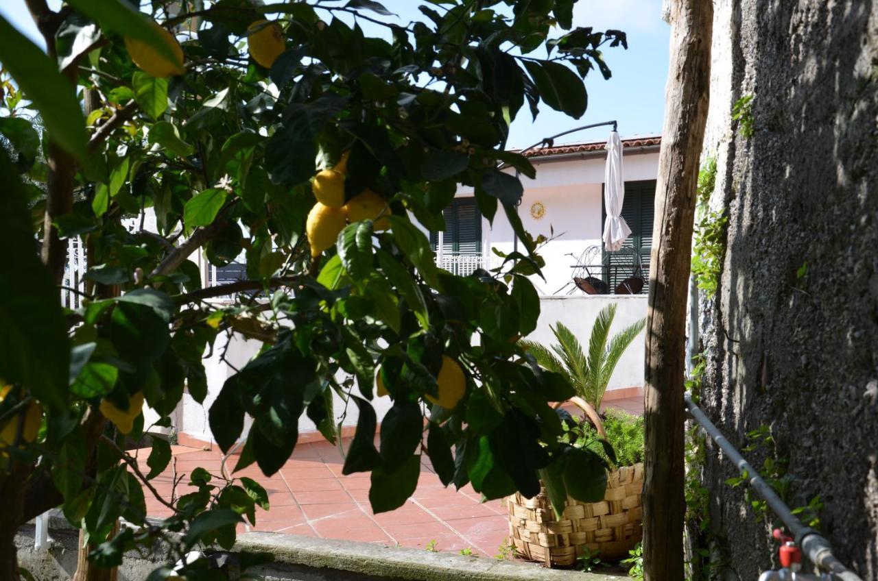 Villa Luciana Сант'Агнело Екстериор снимка